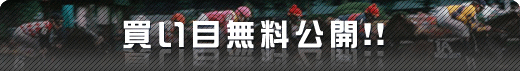 買い目無料公開!!
