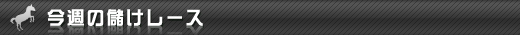 今週の儲けレース